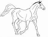 Horse Coloring Pages Princess Kids Printable sketch template