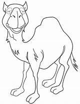 Camel Coloring Cartoon Pages Drawing Children Outline Colouring Cute Template Needle Getdrawings Printable Popular Coloringhome sketch template
