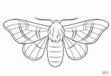 Coloring Moth Getdrawings sketch template