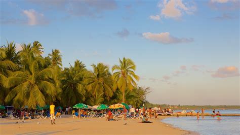 Boca Chica Vacation Packages July 2017 Book Boca Chica