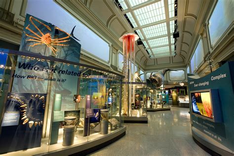 sant ocean hall opens sept    smithsonians national museum  natural history
