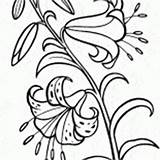Malvorlagen Schwertlilie sketch template