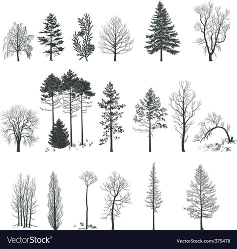tree silhouette collection royalty  vector image