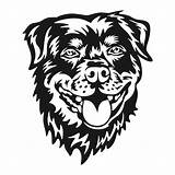Rottweiler Vector Dog Clipart Svg Stencil Designs Apexembdesigns Getdrawings Cuttable sketch template