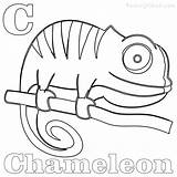 Chameleon Gerbil sketch template