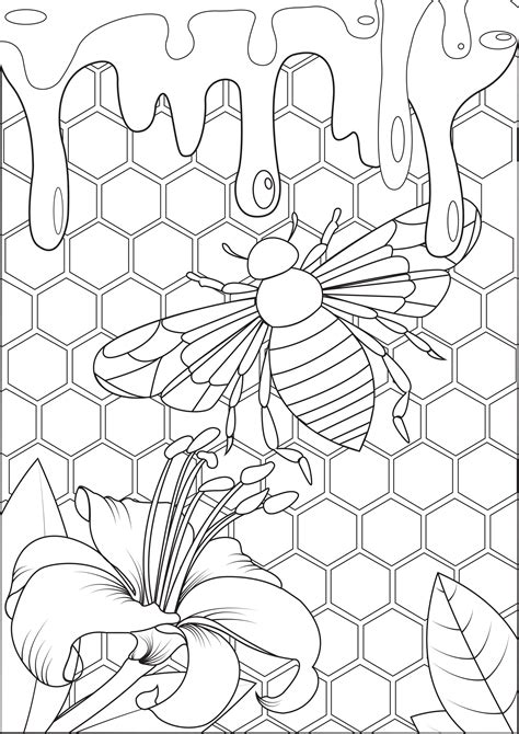 bees  honey butterflies insects adult coloring pages