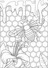 Bee Abeille Miel Colorear Mariposas Hive Erwachsene Insekten Schmetterlinge Insectos Farfalle Insetti Ruche Malbuch Fur Adulti Insectes Insects Bumble Honig sketch template