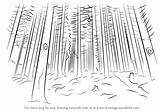 Forest Draw Drawing Step Nature Tutorials sketch template