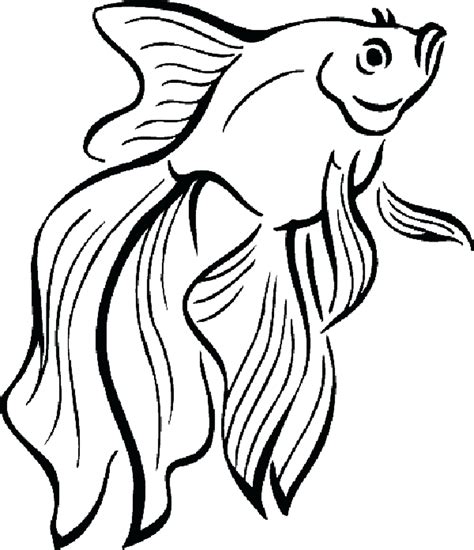 tropical fish coloring pages    clipartmag
