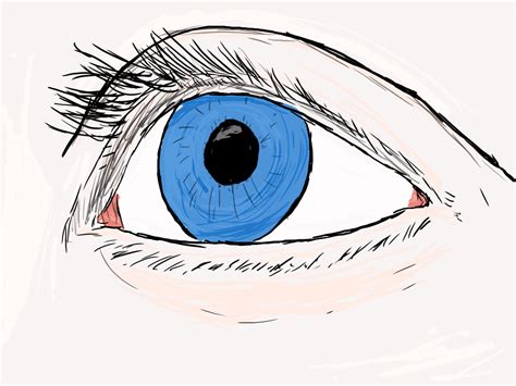 eye blinking animation  minemech  deviantart