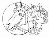 Coloring Pages Horse Adults Kids Hard Print Printable Color Winner Getcolorings sketch template