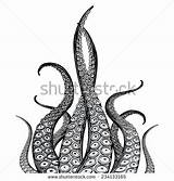 Tentacle Tentacles Separate Rough Kraken Squid 8kb 470px Istockphoto sketch template