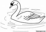 Swan Printable Coloring Bird Pages Print Animal sketch template