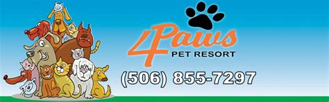 paws pet resort dog boarding doggie daycare dog grooming