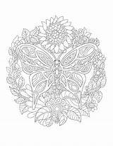 Colorit Butterfly Colouring Lockdown Grab sketch template