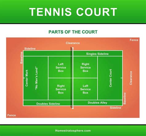 tennis court dimensions  anatomy diagrams