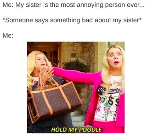 32 memes you should send to your sister immediately {laughter} sibling memes growing up