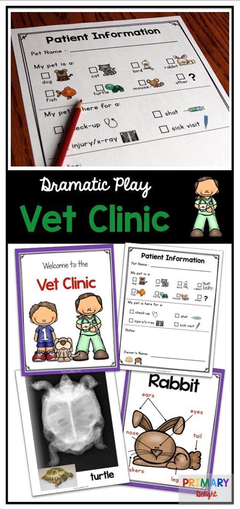 vet dramatic play center  preschool  kindergarten pet doctor