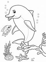 Delfini Malvorlagen Delfin Animales Delfine Ausdrucken Marinos Dolphin Unterwasserwelt Pesci Delfino sketch template