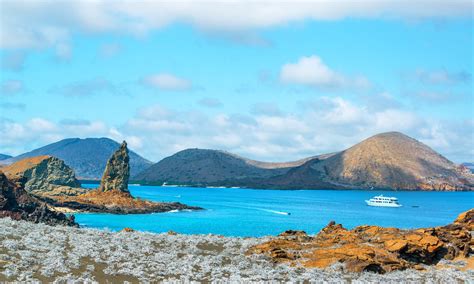 natural selection  wonders   galapagos islands wanderlust