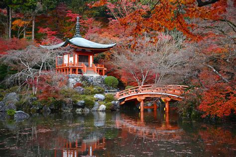 inspiring japanese zen gardens  choice schools