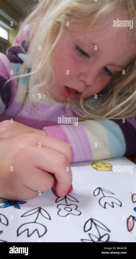 girl drawing  colouring   homework  home stock photo alamy