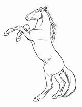 Horse Cheval Rearing Cabre Pferde Pferd Outline Sso Hind Malvorlagen Ancenscp Magz Evo V47 Kawaii sketch template