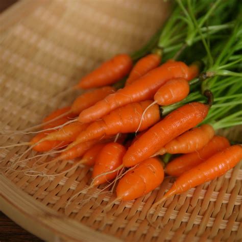 baby carrot nutrition calories  pictures