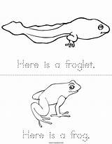Frog Tadpole Cycle Life Book Sheet Twistynoodle Minibook sketch template