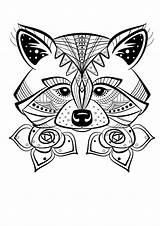 Renard Colorier Magnifique Coloriages Raccoon Fuchs Chien Adultes Difficiles Ausmalen Ours Photographie Erwachsene Extraordinaire Meilleures Tableau Ausmalbilder Luxe Colorare Zentangle sketch template
