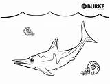 Ichthyosaurus Ichthyosaur Burke Yellowimages Psd sketch template
