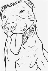 Pitbull Colorir Drawings Pngarea Wolfie Undead Pitbulllife sketch template