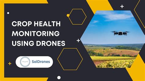 unveiling  future  precision crop health monitoring  drones soldrones