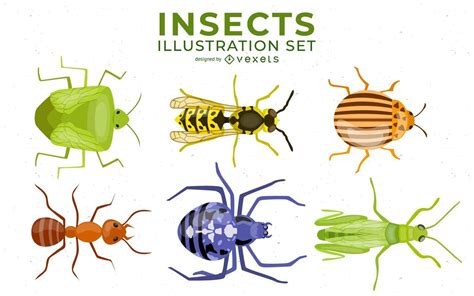 insects illustration set vector