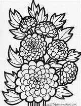 Coloring Pages Flower Printable Adults Choose Board sketch template