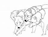 Wolf Realistic Coloring Pages Drawing Step Adults Getdrawings sketch template