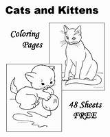 Coloring Cat Pages Kitten Kittens Sheets Cats Printable Kids Worksheets Cute Animal Raisingourkids Many Horse Books Raising Choose Board sketch template