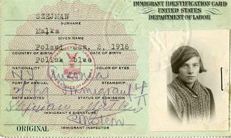 loyola university chicago digital special collections mollies immigrant identification card