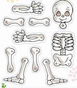 Armar Esqueleto Humano Skeletons Skeleton sketch template
