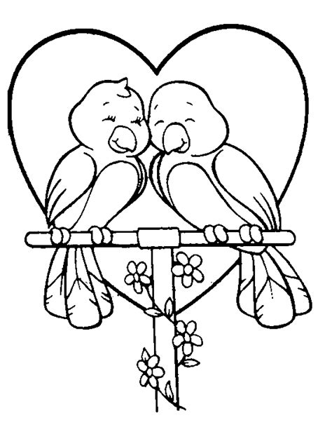 love birds coloring pages sydneyroppaul