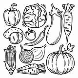 Vegetables Doodle Doodles Vegetable Choose Board Collection Drawing Food sketch template