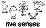 Senses Coloring Pages Sense Template Wecoloringpage Printable Books Popular sketch template