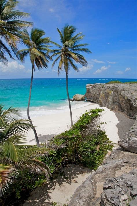 Top Beach Destinations Beautiful Beaches Barbados Beaches
