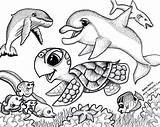 Coloring Cute Pages Sea Animal Baby Getcolorings sketch template
