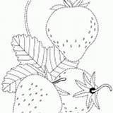 Coloring Strawberries Berries Handicraft Viburnum Bush Different Colorkid sketch template