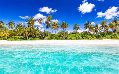 wallpapers indian ocean tropical islands seychelles beach