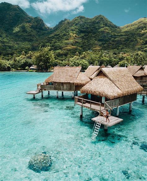 tropical traveling and lifestyle on instagram “moorea
