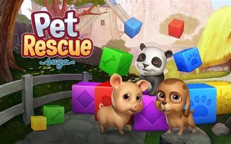 kostenlos spielen pet rescue saga von king kostenlose spiele apps