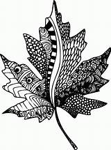 Coloring Zentangle Leaf Pages Printable Zen Mandala Zentangles Maple Clipart Leaves Adult Templates Doodle Popular Drawing sketch template