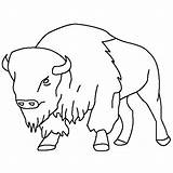 Bison Coloring Buffalo Pages Drawing Animal Drawings Kids Printable Outline Color Animals American Simple Silhouette Template Draw Tattoo Books Ny sketch template
